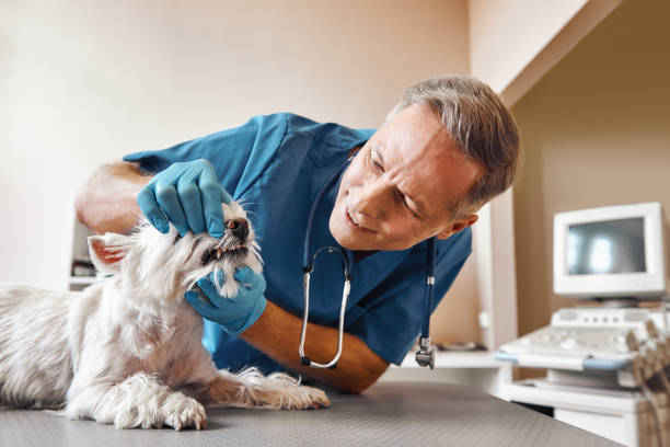  South Zanesville, OH Emergency Dentist Pros